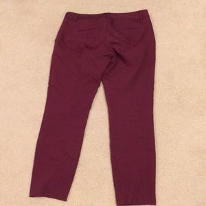 Maroon express columnist pants
